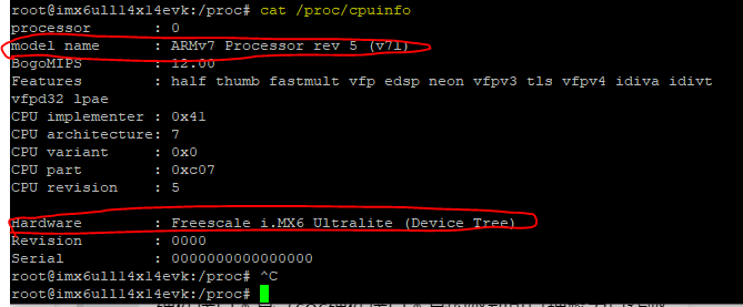 如何查看 Linux 系统信息？学会这些方法，轻松掌握系统详情