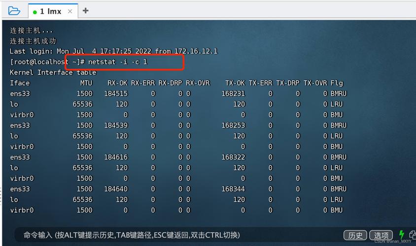 Linux云服务器监控,如何确保服务器高效稳定运行?