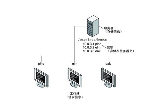 服务器操作系统