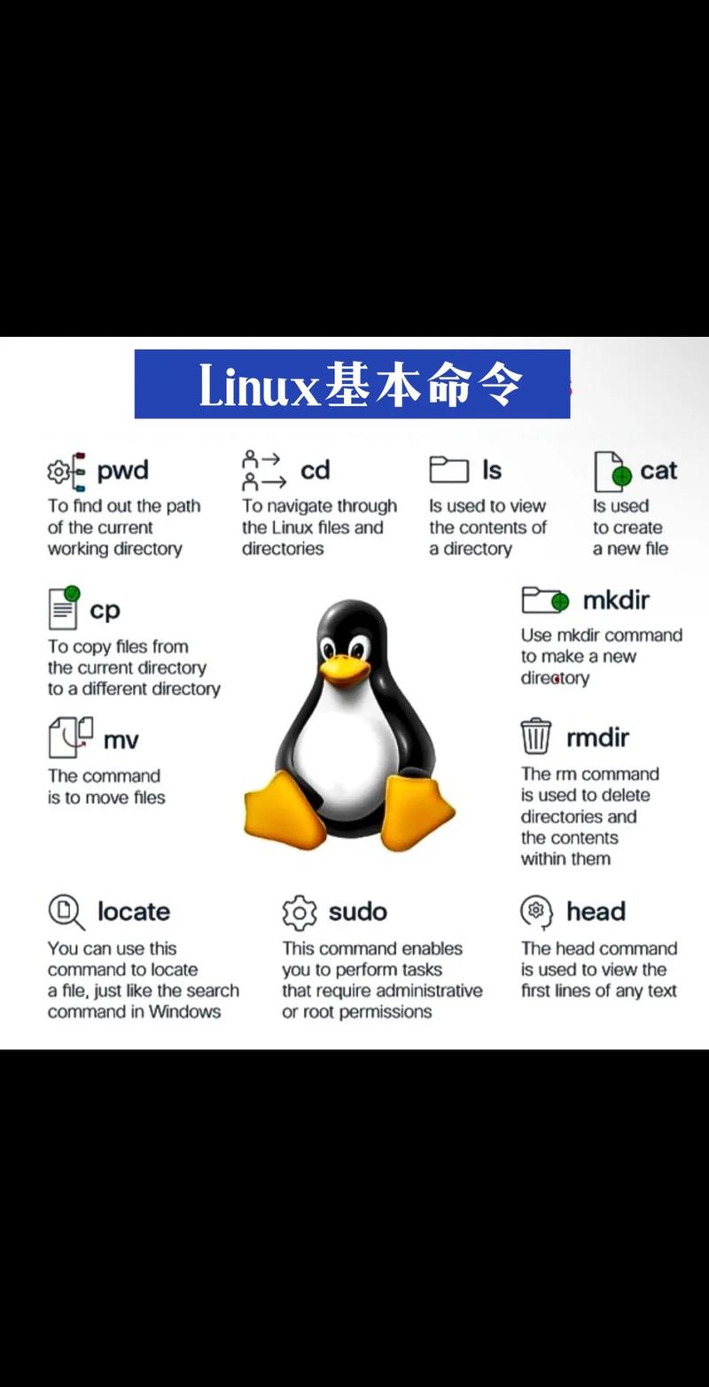 Linux服务器资源回收，提高系统性能的全面指南!