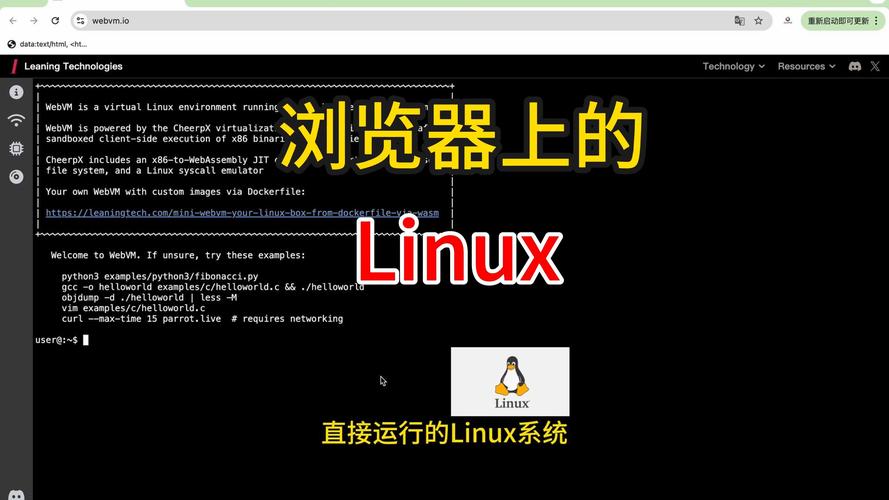Linux服务器AI加速器管理，提升智能计算效率