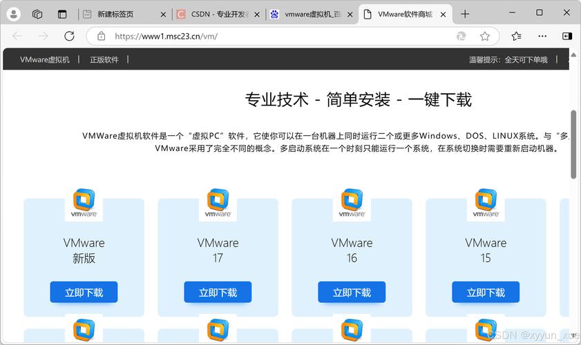 Linux系统安装,详细步骤与注意事项-全面指南
