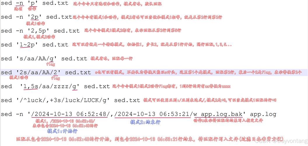 sed命令详解：从入门到精通的全方位指南
