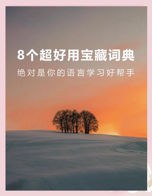词典应用,提升语言学习效率的必备工具