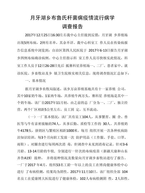 调查报告