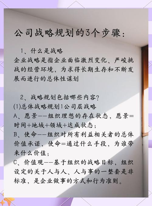 策略管理(企业战略规划与执行的关键环节)