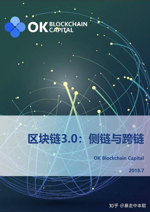 侧链防护(侧链防护技术与应用)