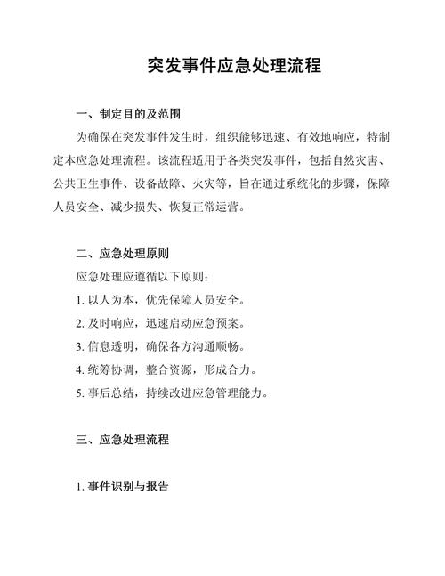 应急响应(突发事件应急处置流程与措施)