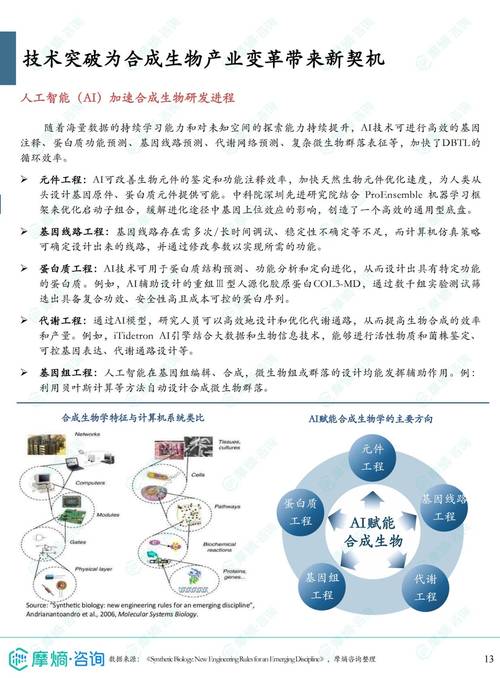 生物特征(识别技术、应用场景与发展趋势)