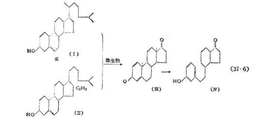 侧链防护(侧链防护技术原理与应用)