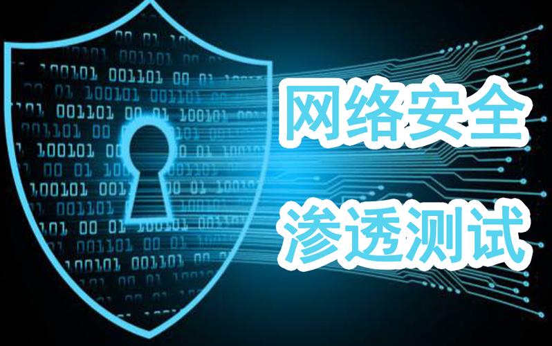 渗透测试,网络安全防护的关键一步