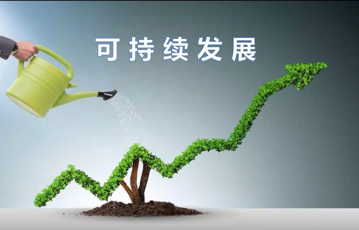 可持续发展(理念、实践与未来展望)