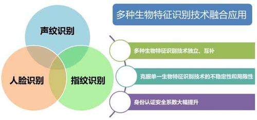 生物特征安全(指纹、面部识别等生物识别技术的安全应用)