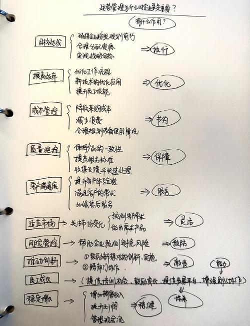 启动管理，企业高效运营的关键环节