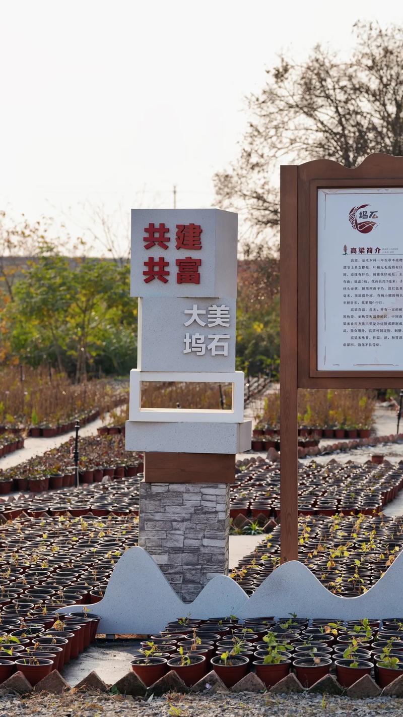 社区贡献，共建美好家园的基石