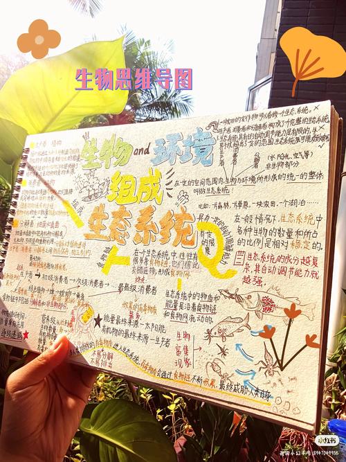 生态系统,自然界的生命网络