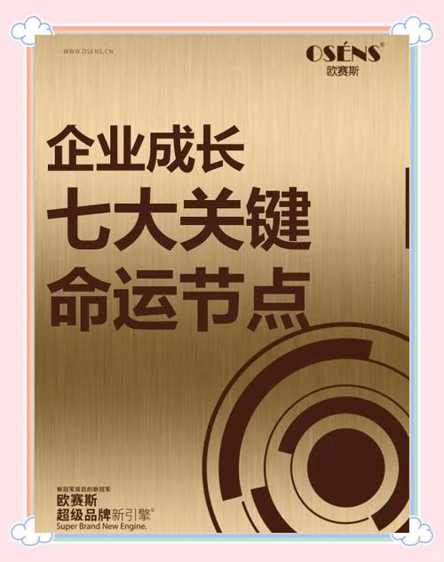 成功案例,企业发展的最佳见证