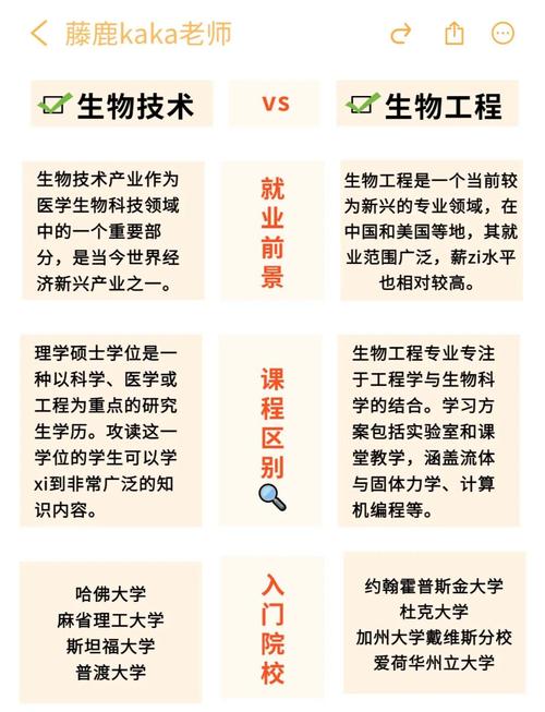 技术选型指南,如何选择最适合的技术方案