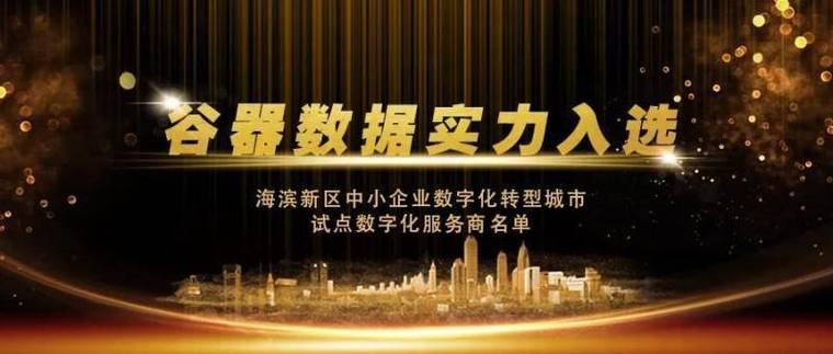 系统集成服务商，企业数字化转型的得力助手