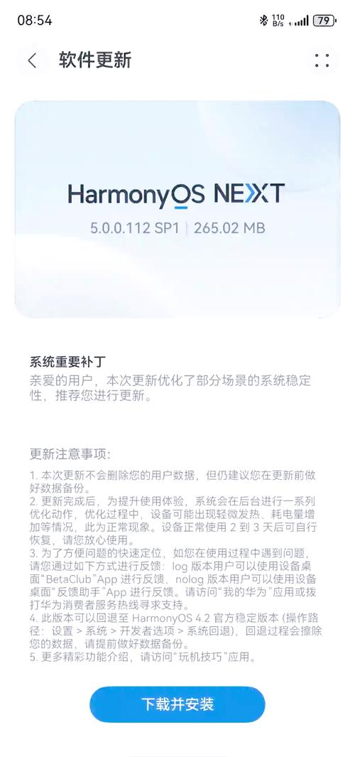 补丁发布，软件更新的关键环节