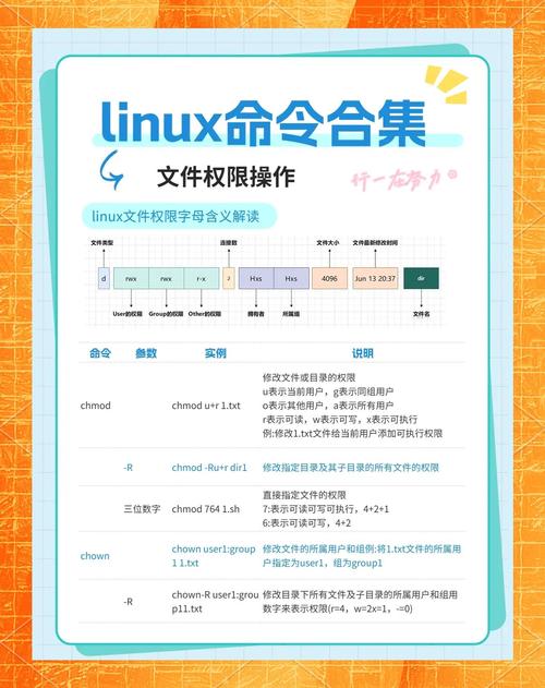 在Linux中,你可以使用多种方法来查询进程的端口号。以下是一些常用的方法