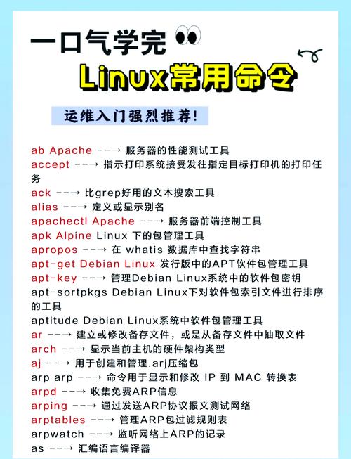 作为Linux新手,以下是你需要学习和理解的20个基本命令