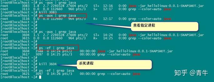 在Linux中，你可以使用多种方法来查询端口号。以下是一些常用的方法