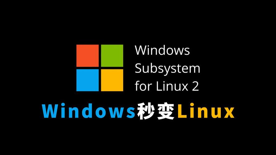 在Linux系统中，处理视频通常涉及多个方面，包括视频播放、编辑和转换等。以下是一些与Linux系统视频相关的基本指南和工具推荐
