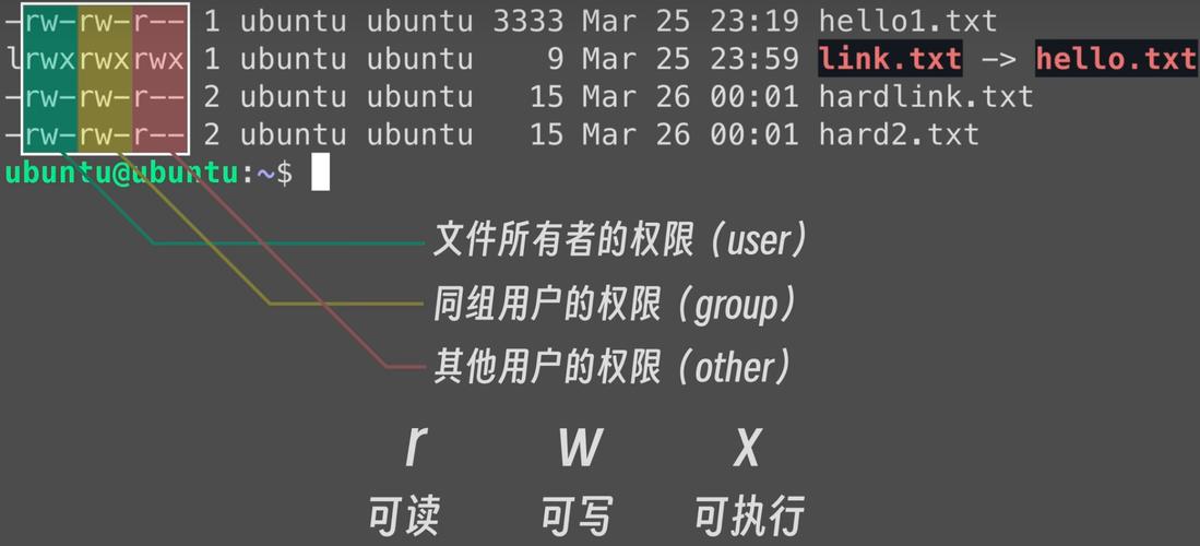 1. ls,列出目录内容。