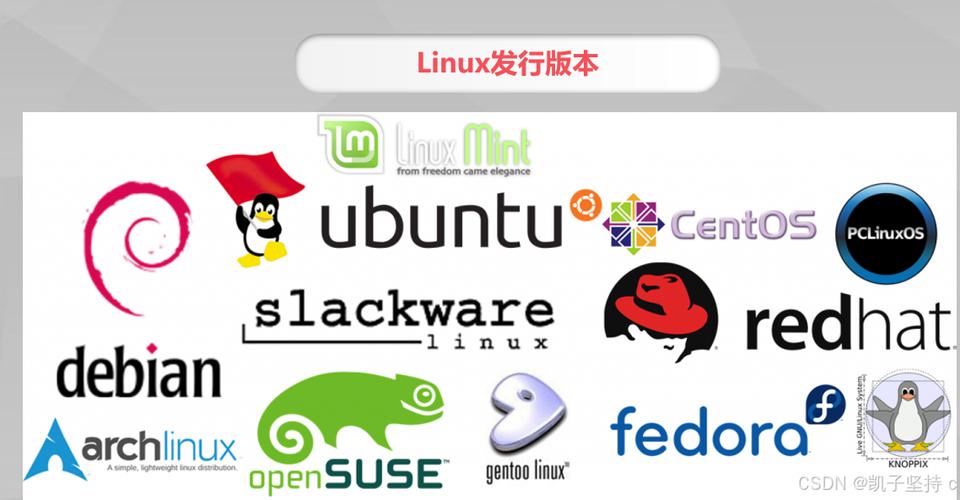 Linux系统并不是由某个特定的国家开发的,而是由全球各地的开发者和社区共同贡献和开发的。