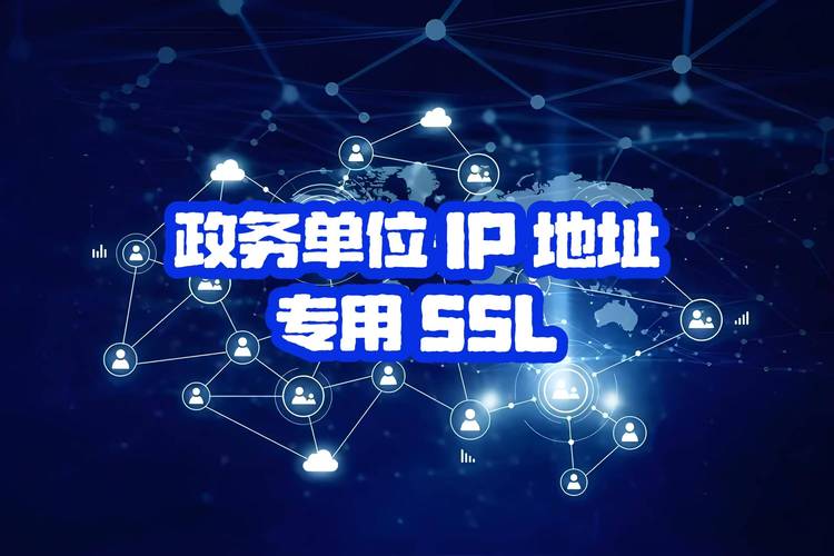 SSL监控对于确保服务器的安全性和数据传输的加密至关重要。对于位于美国的服务器，SSL监控同样重要。以下是一些关于美国服务器SSL监控的要点