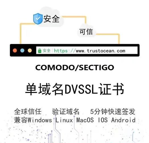在美国，SSL（安全套接层）证书的监管主要由几个机构和组织负责，这些机构和组织确保SSL证书的安全性、可靠性和合规性。以下是一些涉及美国SSL监管的主要方面