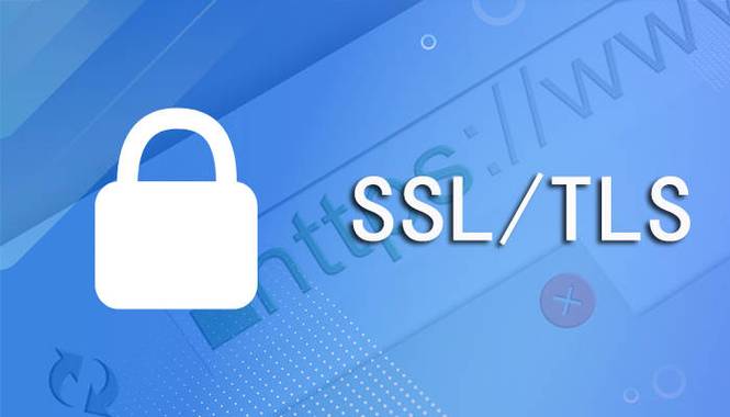 当您提到美国服务器SSL IaaS时，我理解您可能是在寻找在美国提供的基于SSL的IaaS（基础设施即服务）解决方案。以下是一些相关信息和建议