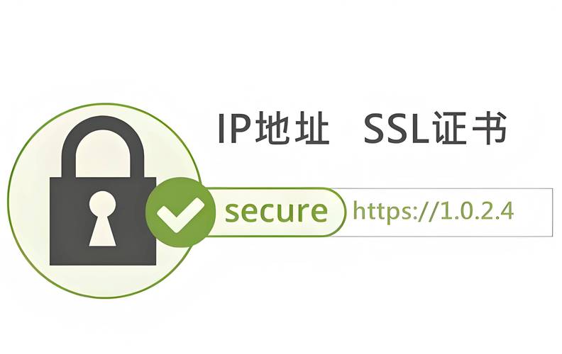 在美国服务器上使用SSL进行直播，通常指的是通过安全的SSL/TLS连接来传输直播流。这样做的好处是可以确保数据传输的安全性，防止中间人攻击和数据泄露。