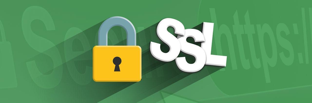 SSL（安全套接层）是一种用于保护网络通信安全的协议，它通过在客户端和服务器之间建立加密通道来确保数据传输的安全性。而数字货币是一种基于区块链技术的电子货币，具有去中心化、匿名性和安全性等特点。