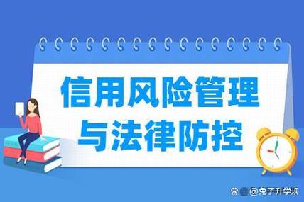 美国服务器DMCA规避:技术手段与法律风险全解析